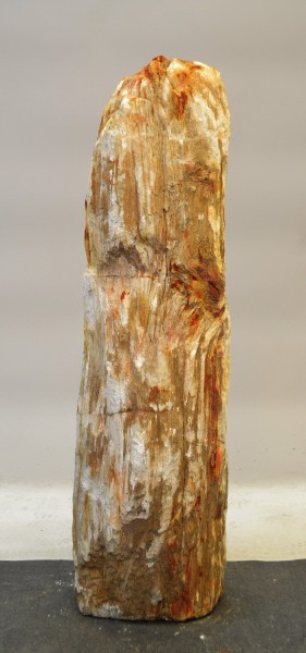Versteinertes Holz HZ17778