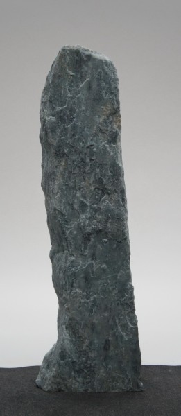 Borealis Light BLI22275