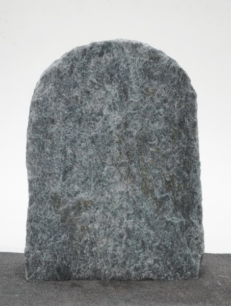 Borealis Light BLI22201