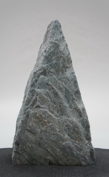 Borealis Light BLI22491