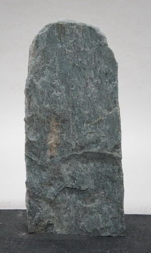 Borealis Light BLI24227