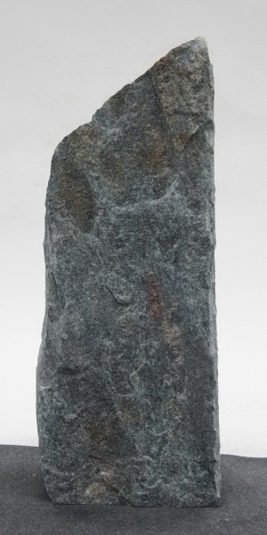 Borealis Light BLI23896