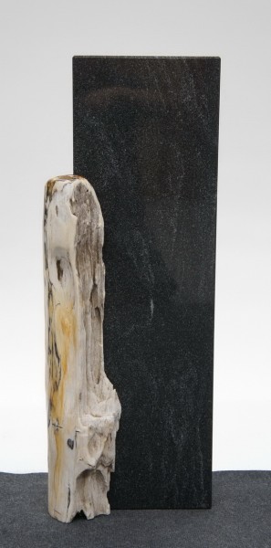 Virginia Black V.BL22681