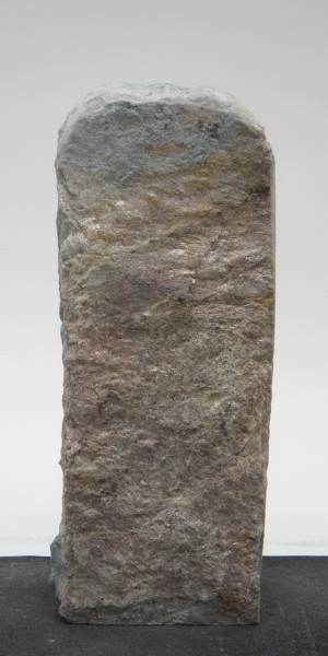 Borealis Light BLI23014