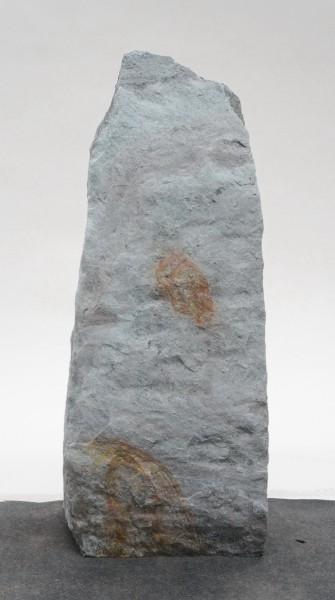Borealis Light BLI23879