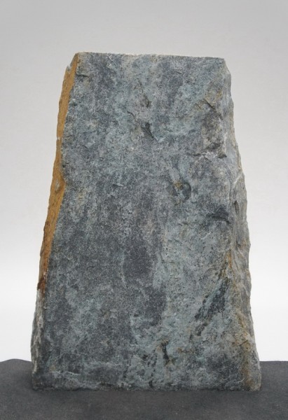 Borealis Light BLI22280