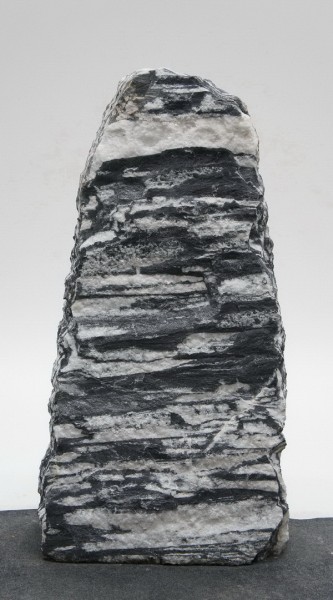 Grey Wolves GW15910