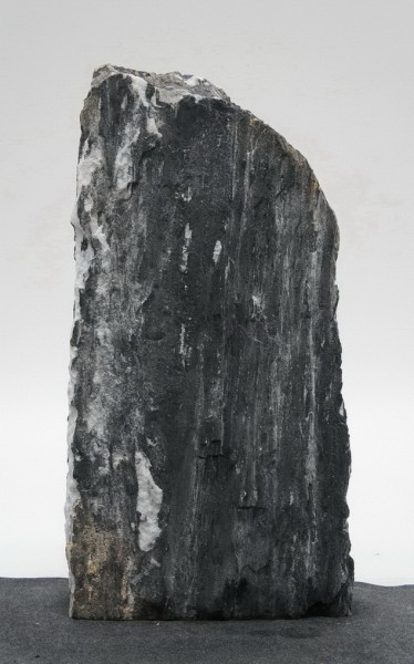 Grey Wolves GW15926