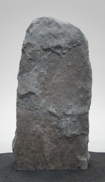 Borealis Light BLI22233