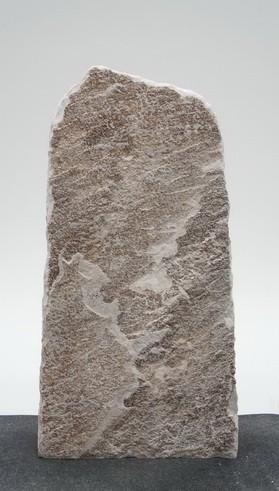 Palisander PA23731