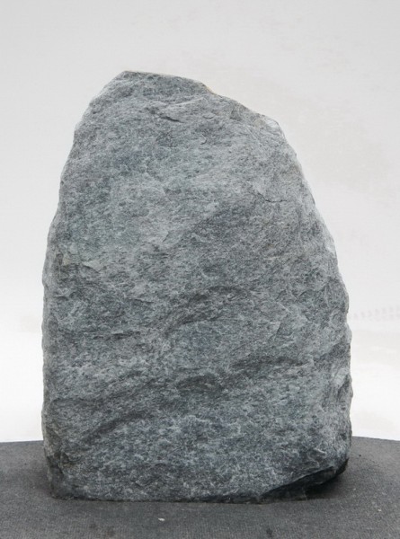 Borealis Light BLI22643