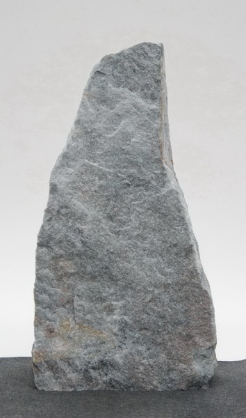 Borealis Light BLI23989