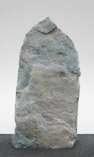 Borealis Light BLI23572