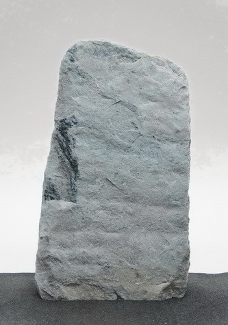 Borealis Light BLI23576