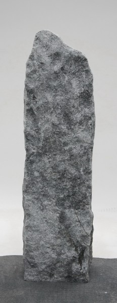 Schwedisch Silber SS22647