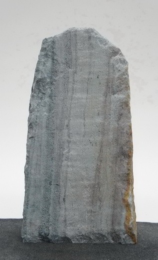 Borealis Light BLI23644