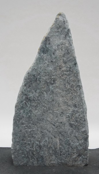 Borealis Light BLI23393