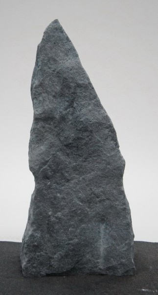 Borealis Light BLI22227