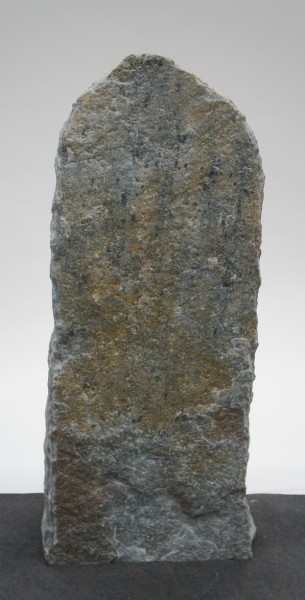 Borealis Light BLI22417