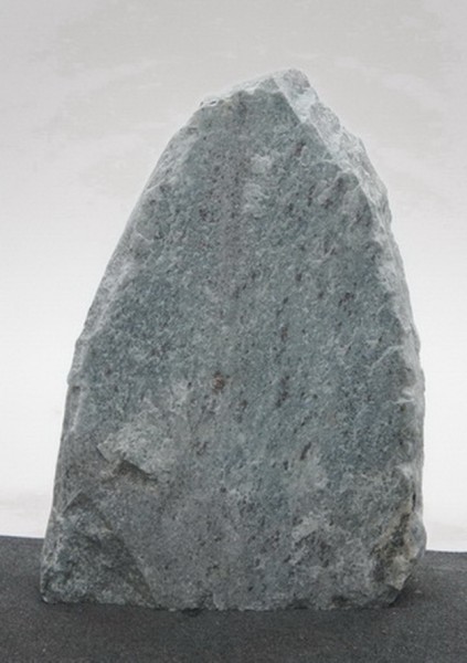 Borealis Light BLI23537