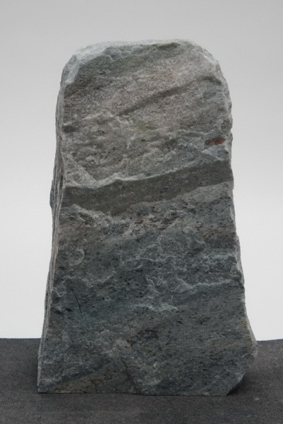 Borealis Light BLI22605