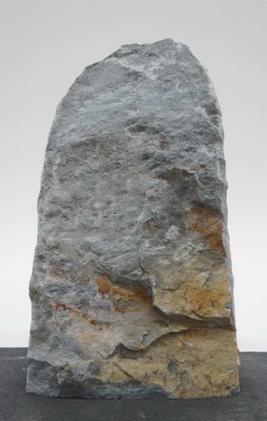 Borealis Light BLI23536