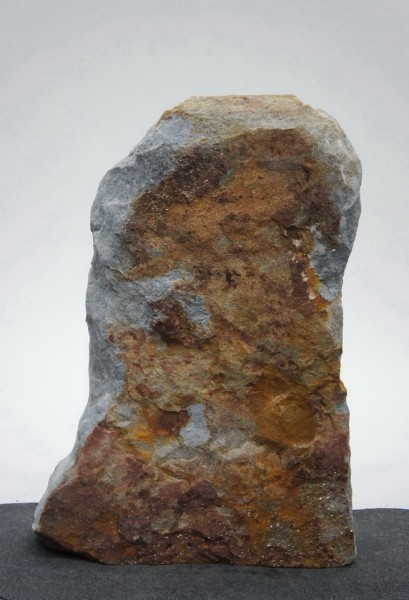 Borealis Light BLI22222