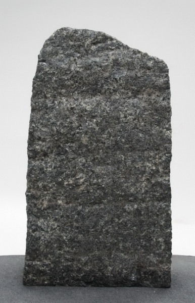 Ambassador Black AB22636