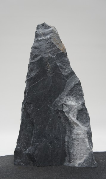 Bleu des Alpes BLA23220