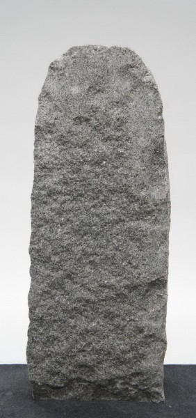 Borealis Light BLI23035