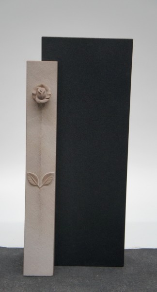 U56A Edition Symbiose