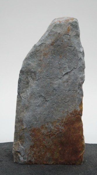 Borealis Light BLI22208