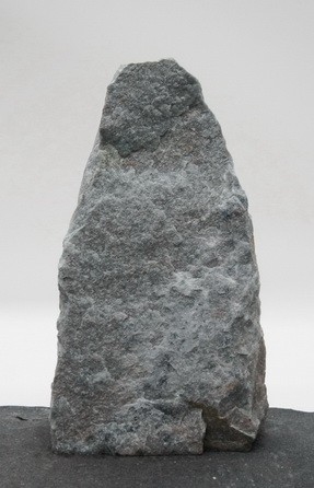 Borealis Light BLI24024