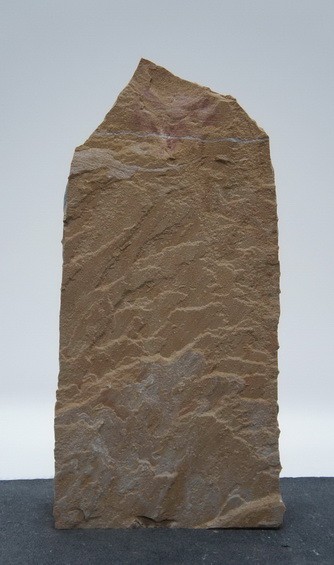 Ravena RA24207