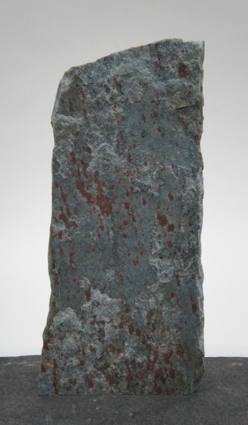 Borealis Light BLI22420