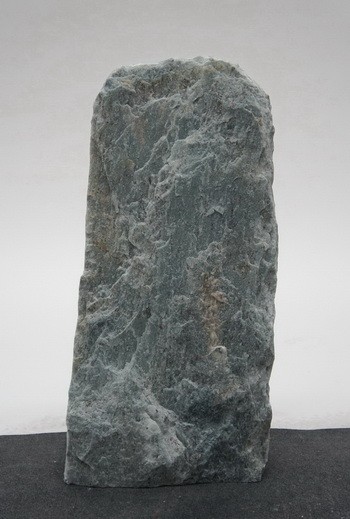 Borealis Light BLI24225