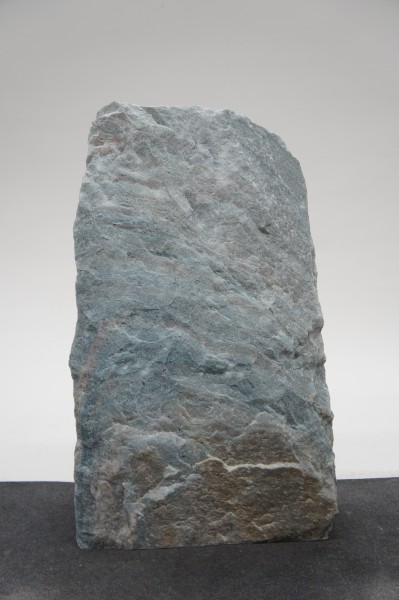 Borealis Light BLI23339