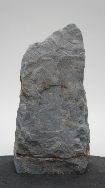 Borealis Light BLI22216