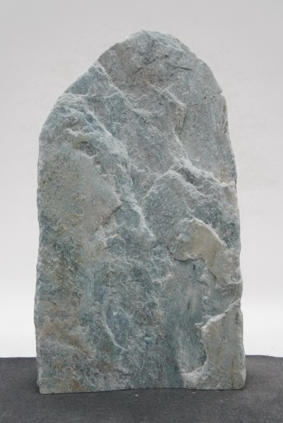 Borealis Light BLI23389