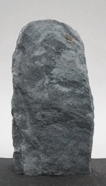 Borealis Light BLI22230