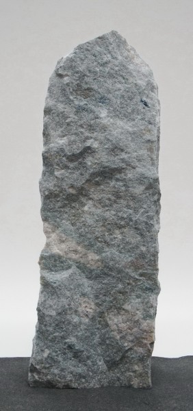 Borealis Light BLI23990