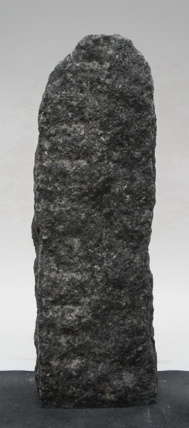 Ambassador Black AB23039