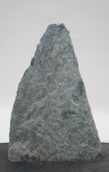 Borealis Light BLI23427