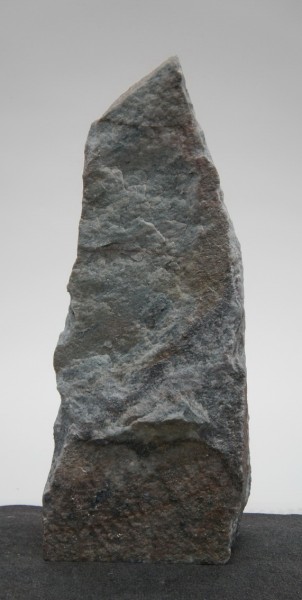 Borealis Light BLI22409