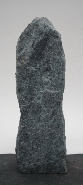 Borealis Light BLI22198