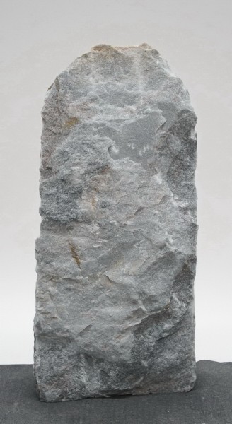 Borealis Light BLI23996