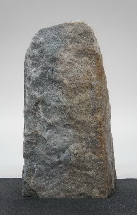 Borealis Light BLI24213