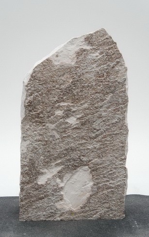 Palisander PA23734