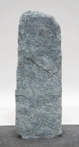 Borealis Light BLI22700